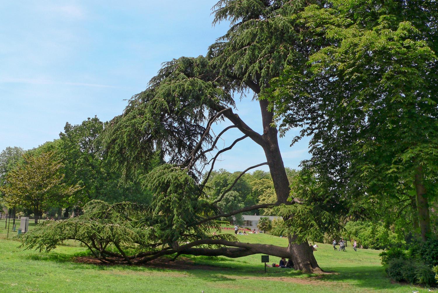 Visiter Le Parc Montsouris Avis Et Conseils Pratiques Guide Avygeo