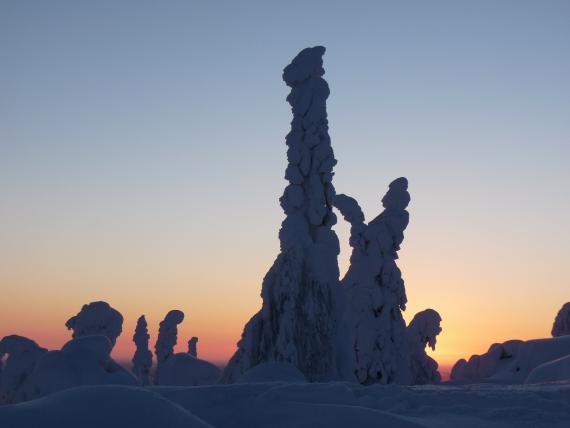 Coucher de soleil en Laponie