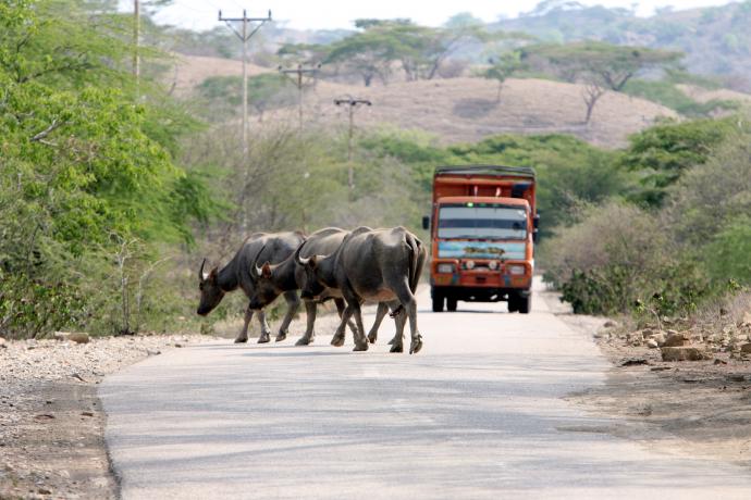 La route pour Baucau