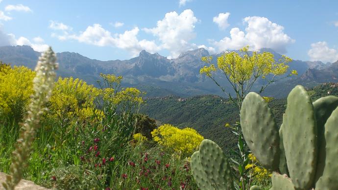 Parc National du Djurdjura, en Kabylie