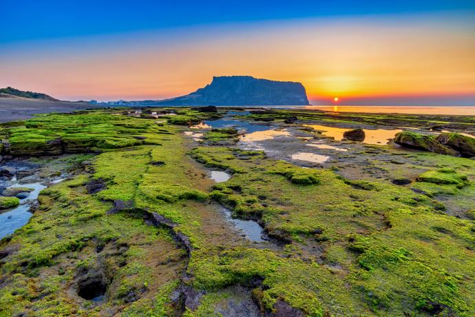 Volcan Seongsan Ilchulbong, île de Jeju