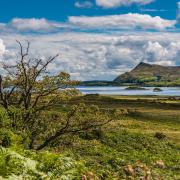 Une semaine en Irlande en voyage chez l'habitant