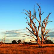 Un tour dans l’Outback – Du Sud au Nord – Part two