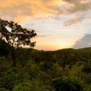 Paysages du Centre-Ouest Burkinabé, près de Réo