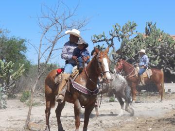 Un enfant à cheval