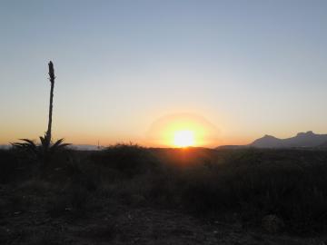 Le pulque