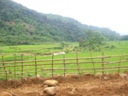 Panorama du Nord vietnam, Pu Luong