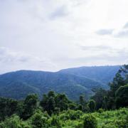 Parc national Khao Yai 