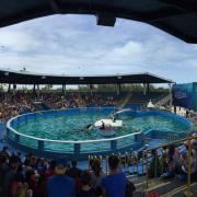 Miami Seaquarium