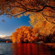 Lac Tekapo