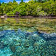 Halmahera