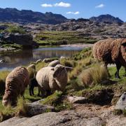 Sierras de Cordoba