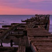 Punta Arenas