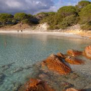 Plage de Palombaggia