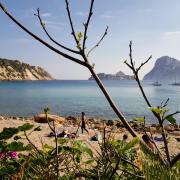 Plage Cala d'Hort