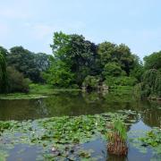 Parc de Bagatelle