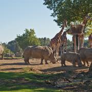 Les plus beaux zoos du monde