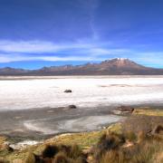 Salar de Surire