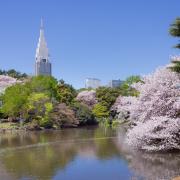 Parc Shinjuku Gyoen