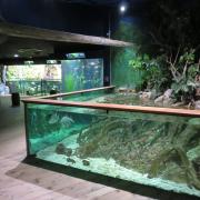 Grand aquarium