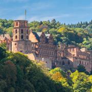 Château de Heidelberg (Schloss Heidelberg)