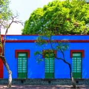 Musée Frida Kahlo