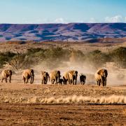 Guide de voyage Namibie