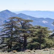 Parc national de Belezma