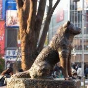 Statue de Hachiko