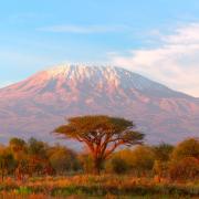 Parc national du Kilimandjaro