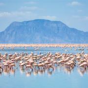 Lac Natron