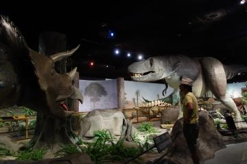 Musée d'histoire naturelle de Las Vegas