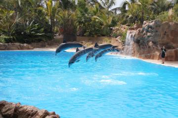 Loro Parque