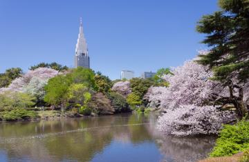 Parc Shinjuku Gyoen