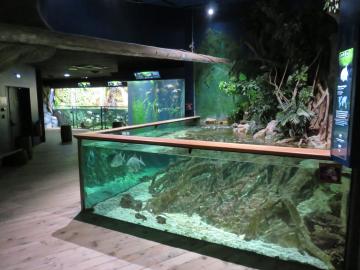 Grand aquarium