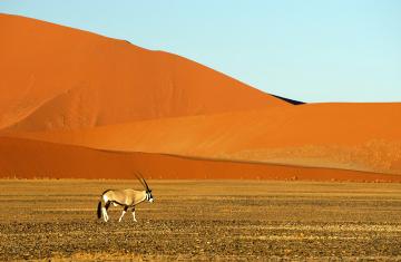 Parc national de Namib-Naukluft