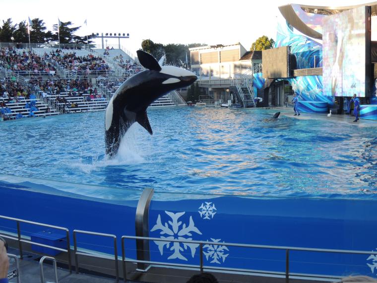 Seaworld de San Diego