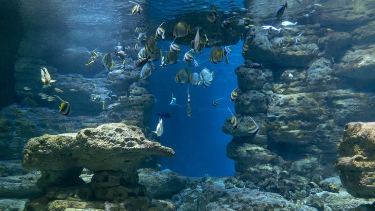 Aquarium de Paris