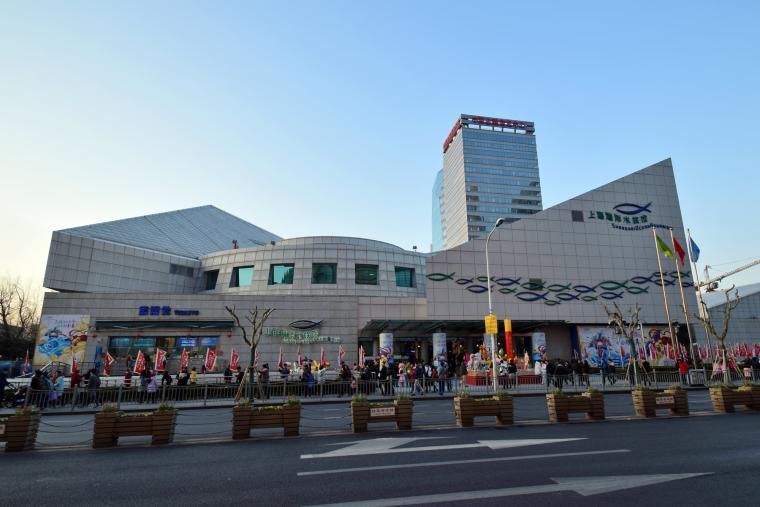 Aquarium océanique de Shanghai