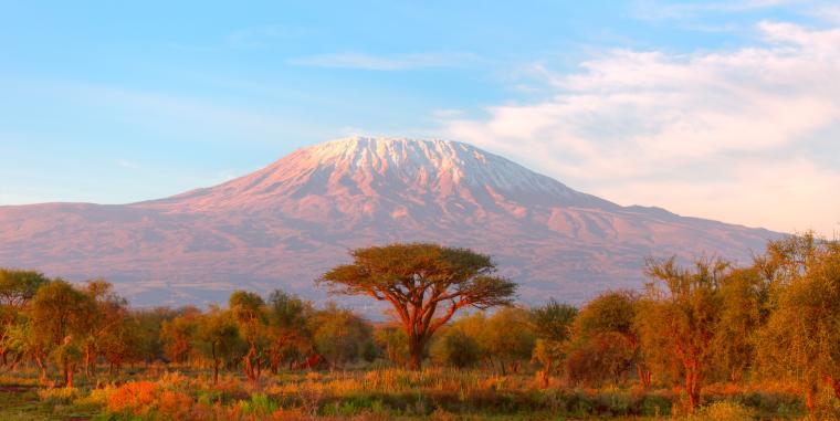 Parc national du Kilimandjaro