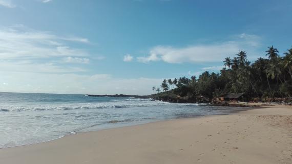 Plage srilankaise