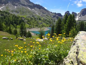 Parc national du Mercantour