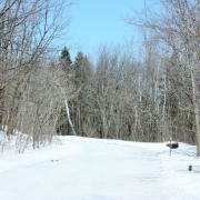 Parc du Mont-Royal