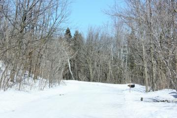 Parc du Mont-Royal