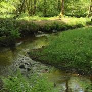 Visiter le Morvan: 6 activités incontournables à faire