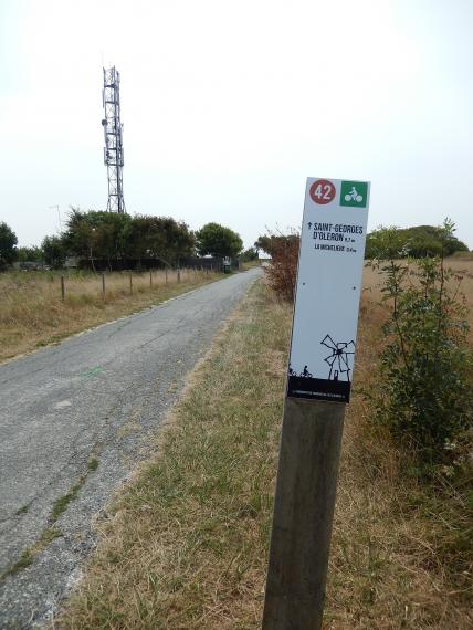 Piste cyclable sur Oléron