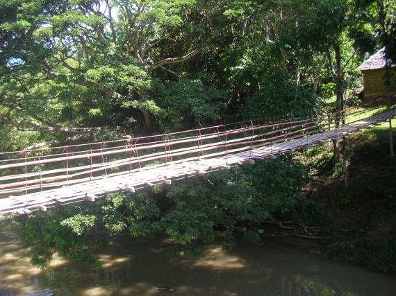 Pont en bambou