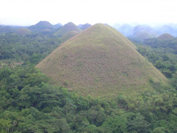 Chocolate hills